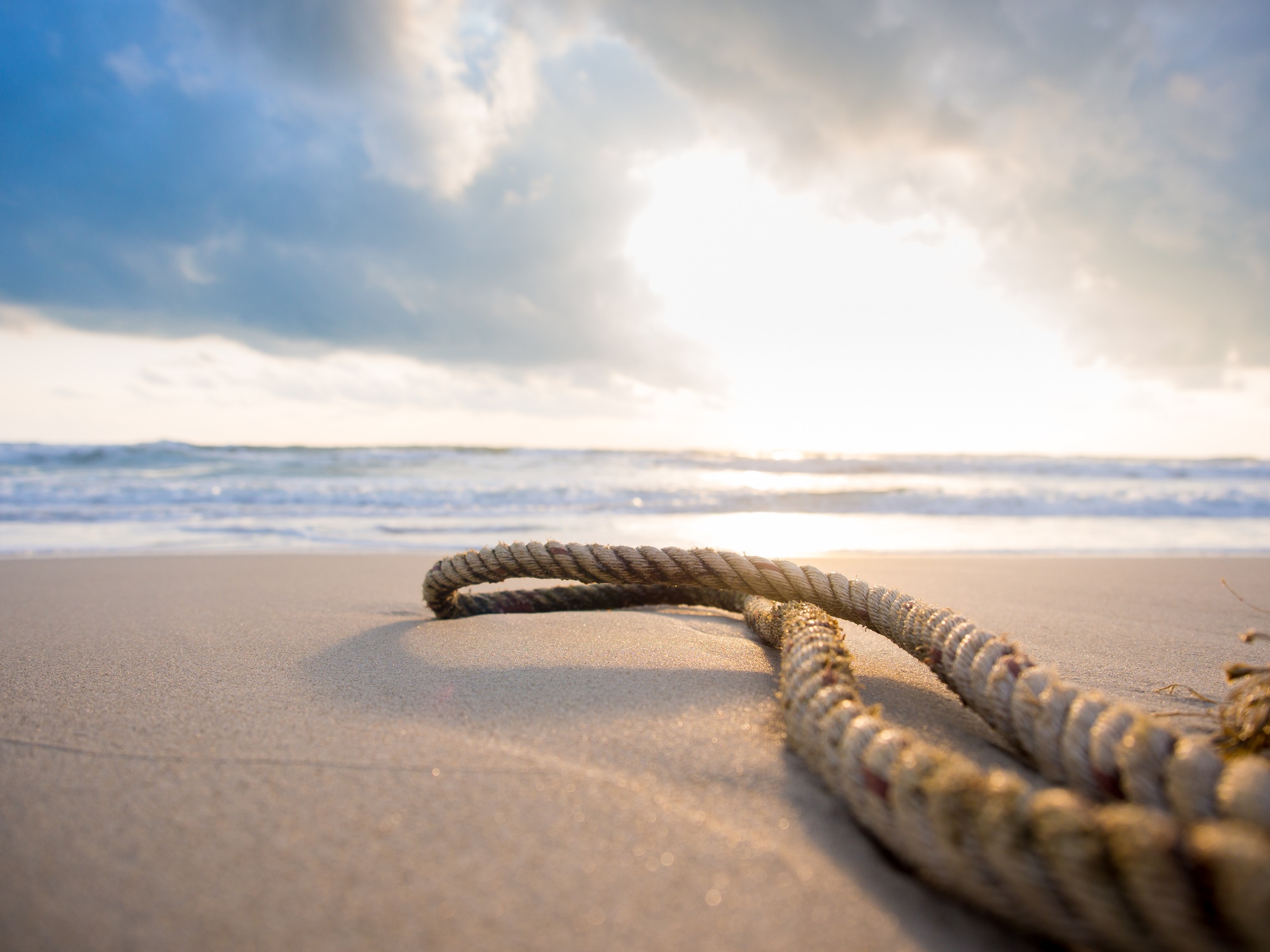 Old rope on the beach